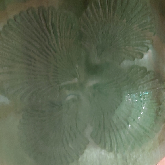 Green Recycled Glass Plate Platter Scallop Shell Relief on Bottom 10 Inches - Picture 6 of 9